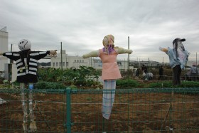 海の見える公園の畑