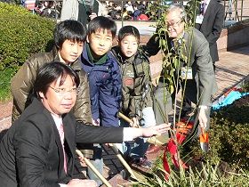 杉田梅植樹