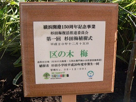 杉田梅植樹