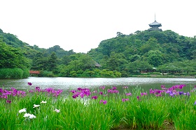 �H�V���E���_�����̑V�Q�O�O�X