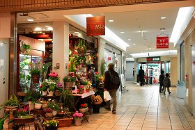 いそごふるさと寄席 三遊亭円楽(圓楽)襲名披露