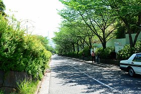 旧横浜プリンス貴賓館を一日だけ一般公開
