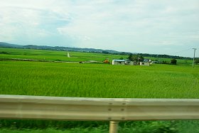 バルブのスタッフ全員で東北へ炊き出し