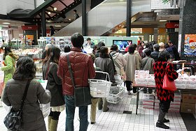 �v�������c�̋C��������s