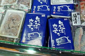 �v�������c�̋C��������s