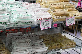 �v�������c�̋C��������s