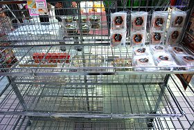 �v�������c�̋C��������s