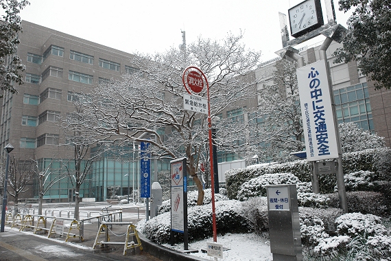 �Q�O�P�S�N�Q���W���i�y�j�A��q�̐�