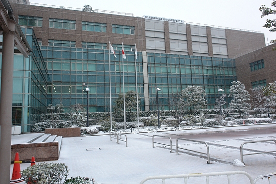 �Q�O�P�S�N�Q���W���i�y�j�A��q�̐�