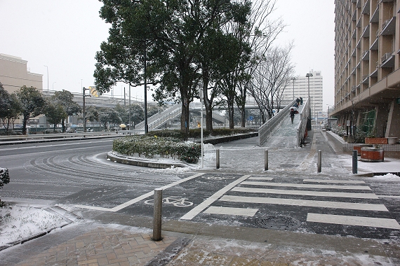 �Q�O�P�S�N�Q���W���i�y�j�A��q�̐�