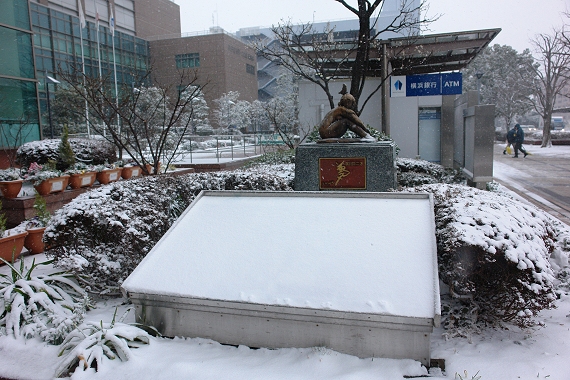 �Q�O�P�S�N�Q���W���i�y�j�A��q�̐�