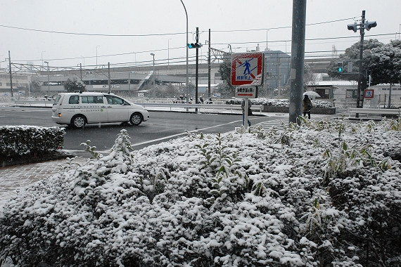 �Q�O�P�S�N�Q���W���i�y�j�A��q�̐�