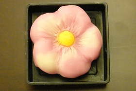 磯子風月堂 和菓子作り教室 in ブリリアシティ横浜磯子