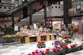 フローリスト花だよりの正月飾り