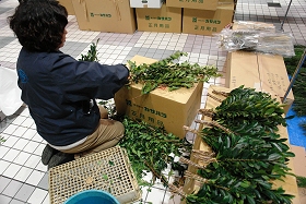 フローリスト花だよりの正月飾り