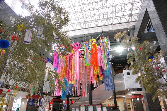プララ杉田の七夕