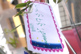 プララ杉田の七夕