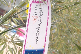 プララ杉田の七夕