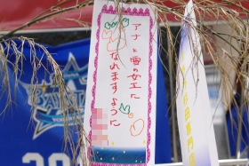 プララ杉田の七夕