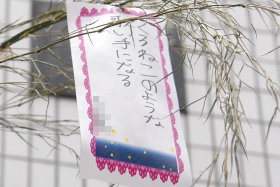 プララ杉田の七夕