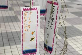 プララ杉田の七夕
