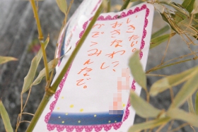 プララ杉田の七夕