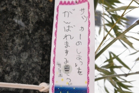 プララ杉田の七夕