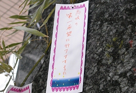 プララ杉田の七夕