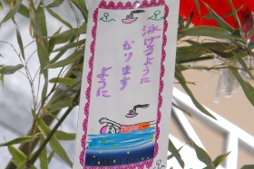プララ杉田の七夕