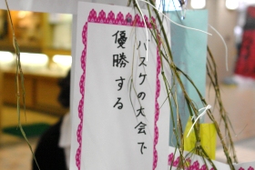 プララ杉田の七夕