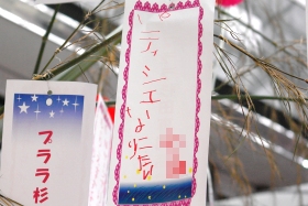 プララ杉田の七夕