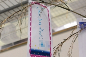 プララ杉田の七夕