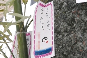プララ杉田の七夕