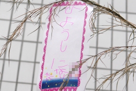 プララ杉田の七夕