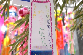 プララ杉田の七夕