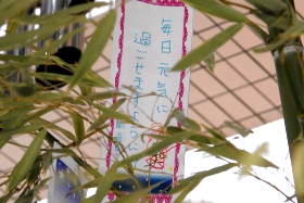 プララ杉田の七夕