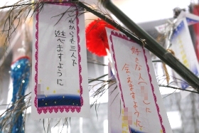 プララ杉田の七夕