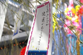 プララ杉田の七夕