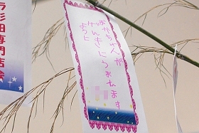 プララ杉田の七夕