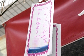 プララ杉田の七夕