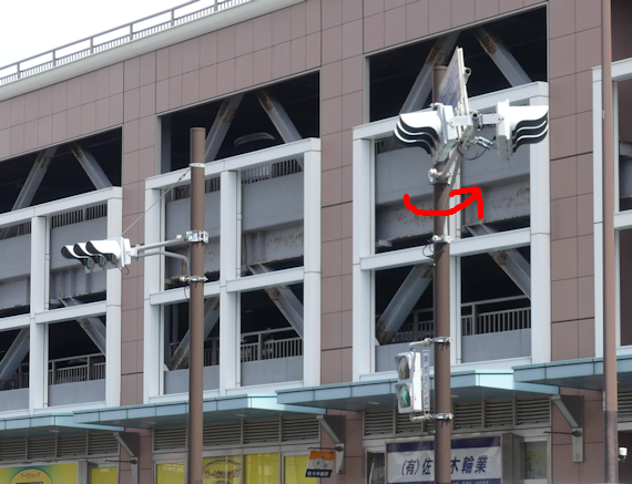 台風15号、磯子区を直撃