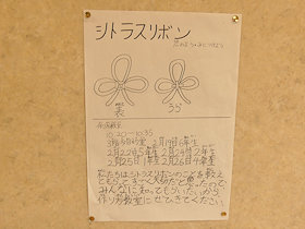 杉田小学校のシトラスリボン