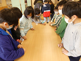 杉田小学校のシトラスリボン