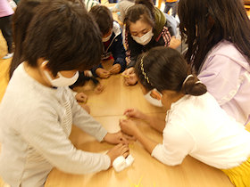 杉田小学校のシトラスリボン