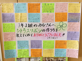 杉田小学校のシトラスリボン