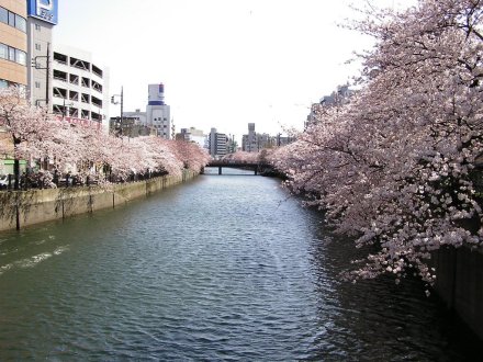 剪쉈